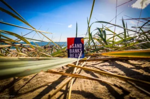 Sandbanks beach grassy sand dune
